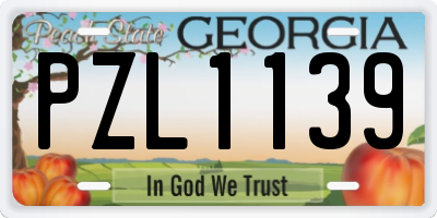 GA license plate PZL1139