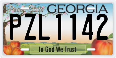 GA license plate PZL1142