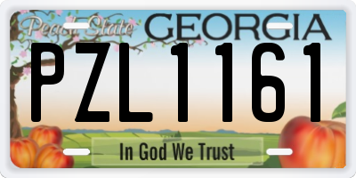 GA license plate PZL1161