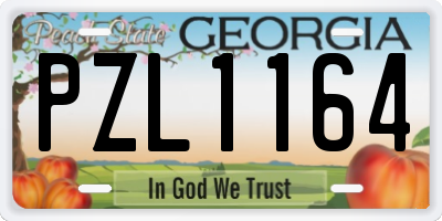 GA license plate PZL1164