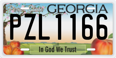 GA license plate PZL1166