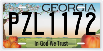 GA license plate PZL1172