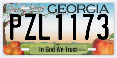 GA license plate PZL1173