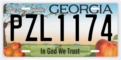 GA license plate PZL1174