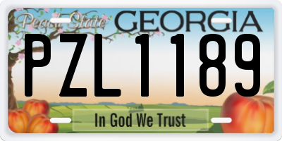 GA license plate PZL1189