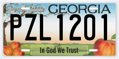 GA license plate PZL1201