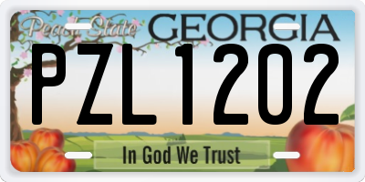 GA license plate PZL1202