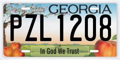 GA license plate PZL1208