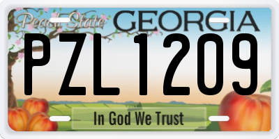 GA license plate PZL1209