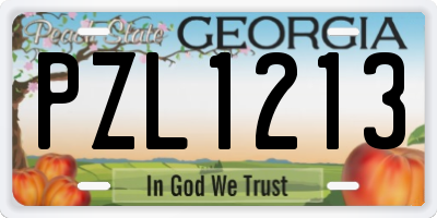 GA license plate PZL1213