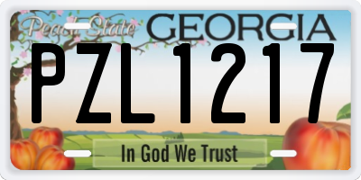 GA license plate PZL1217