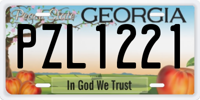 GA license plate PZL1221