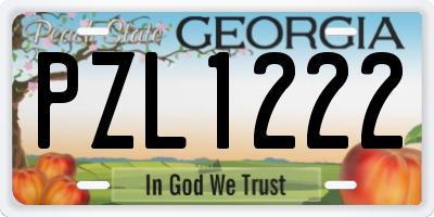 GA license plate PZL1222