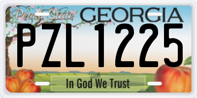 GA license plate PZL1225