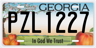 GA license plate PZL1227