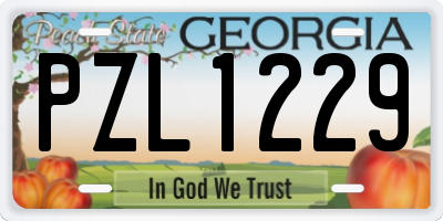 GA license plate PZL1229