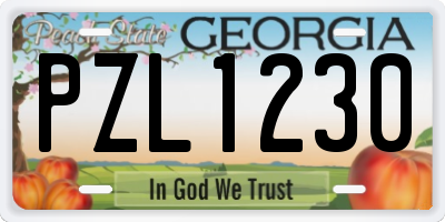 GA license plate PZL1230