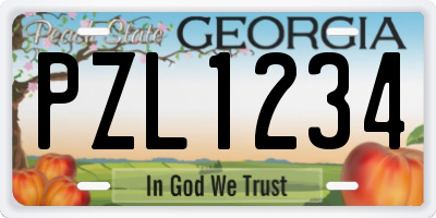 GA license plate PZL1234