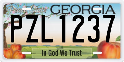 GA license plate PZL1237