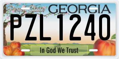 GA license plate PZL1240