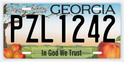 GA license plate PZL1242