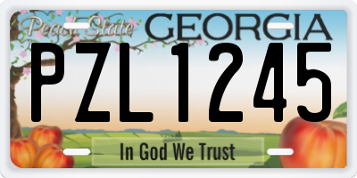 GA license plate PZL1245