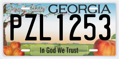 GA license plate PZL1253