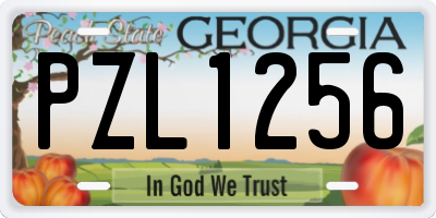 GA license plate PZL1256