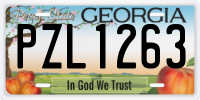 GA license plate PZL1263