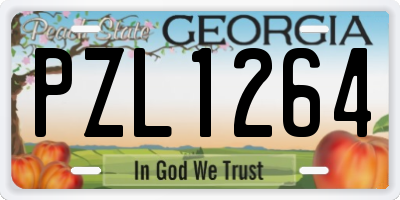 GA license plate PZL1264