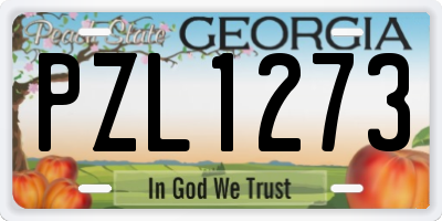GA license plate PZL1273