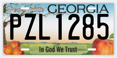 GA license plate PZL1285