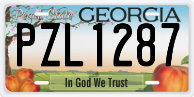 GA license plate PZL1287