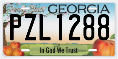 GA license plate PZL1288