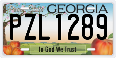 GA license plate PZL1289