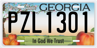 GA license plate PZL1301