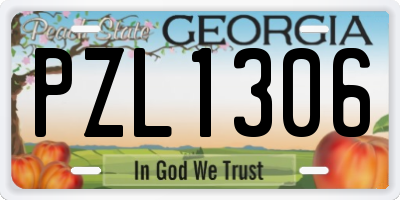 GA license plate PZL1306