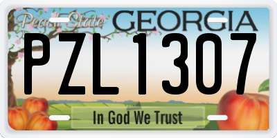 GA license plate PZL1307