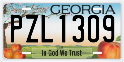 GA license plate PZL1309