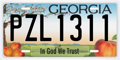 GA license plate PZL1311
