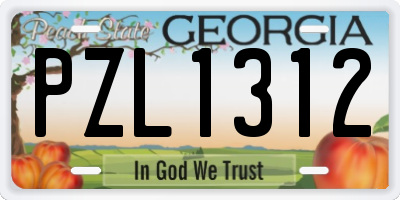GA license plate PZL1312