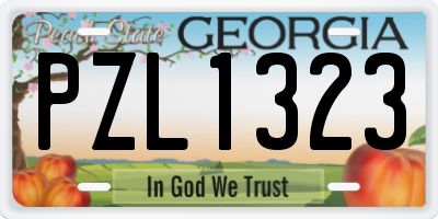 GA license plate PZL1323