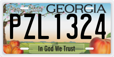 GA license plate PZL1324