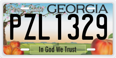 GA license plate PZL1329