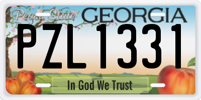 GA license plate PZL1331