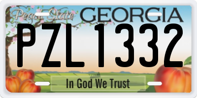 GA license plate PZL1332