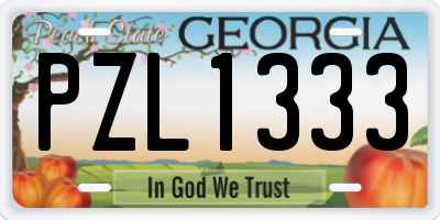 GA license plate PZL1333