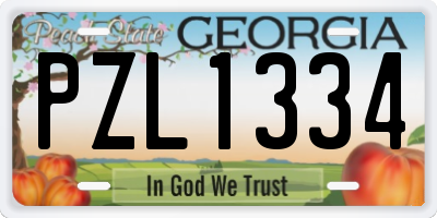 GA license plate PZL1334