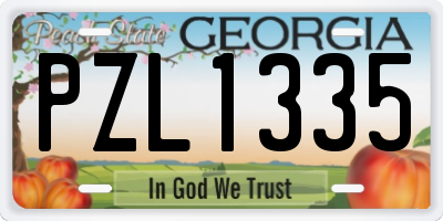 GA license plate PZL1335