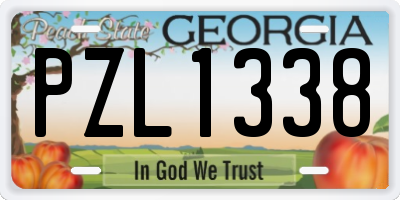 GA license plate PZL1338